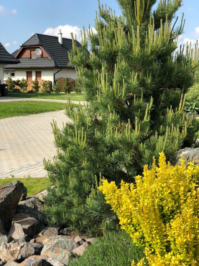 Villa Detvan Stará Lesná エクステリア 写真